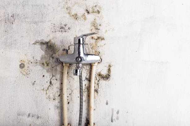 Best Mold Removal Near Me  in Winston Salem, NC