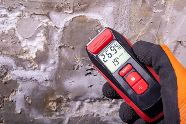 Best Best Mold Removal Companies  in Winston Salem, NC