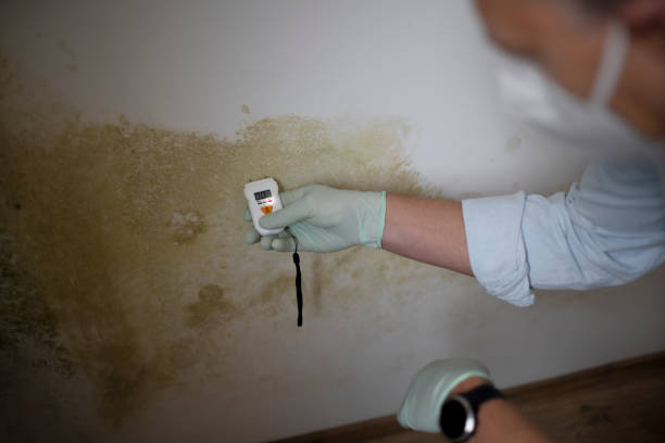 Certified Mold Removal in Winston Salem, NC
