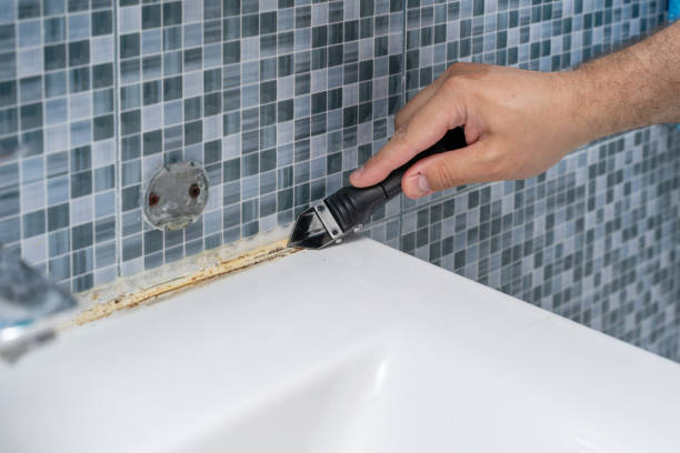 Best Office Mold Removal Services  in Winston Salem, NC