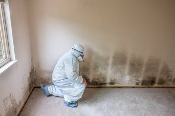 Water Damage Restoration in Winston Salem, NC